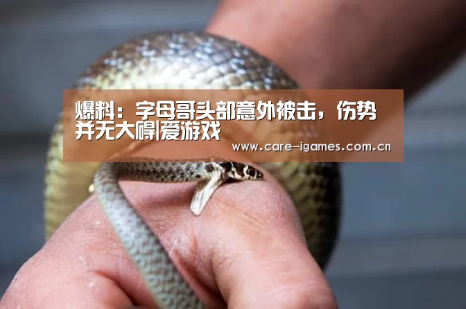 体育直播
