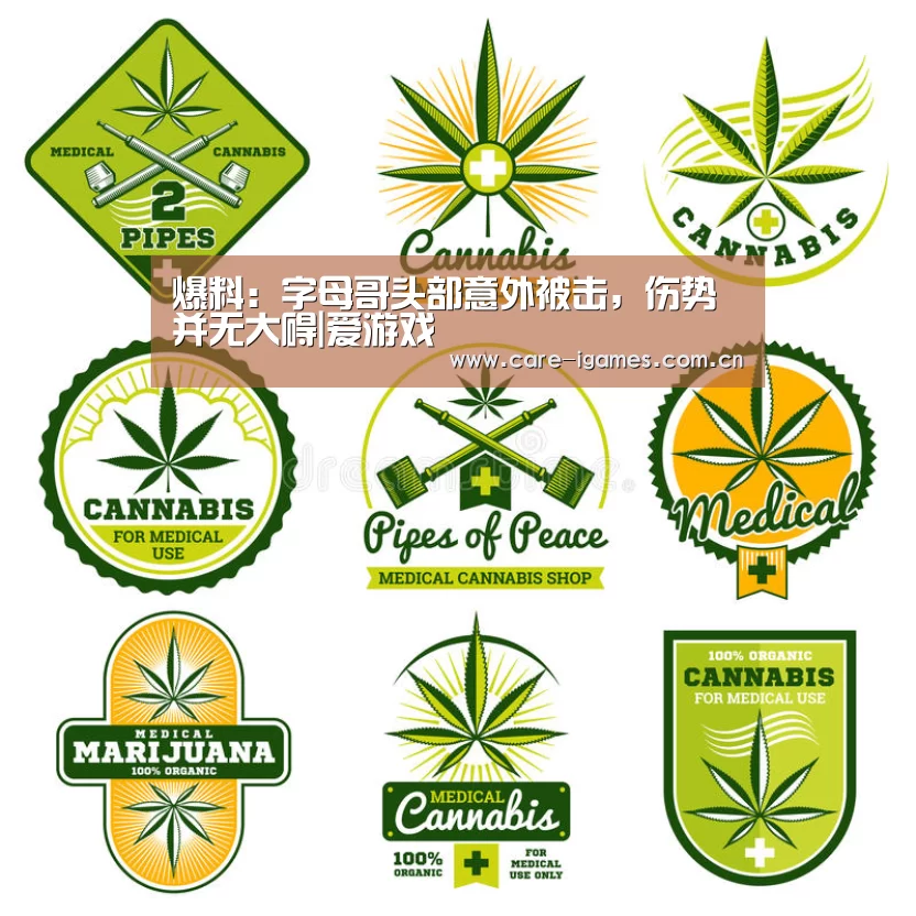 爱游戏app