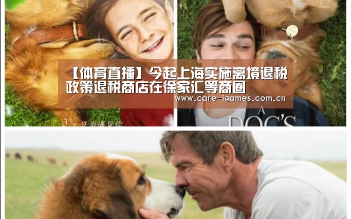 爱游戏